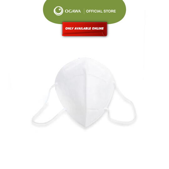 Folding Respirator Face Mask (10 Pcs)